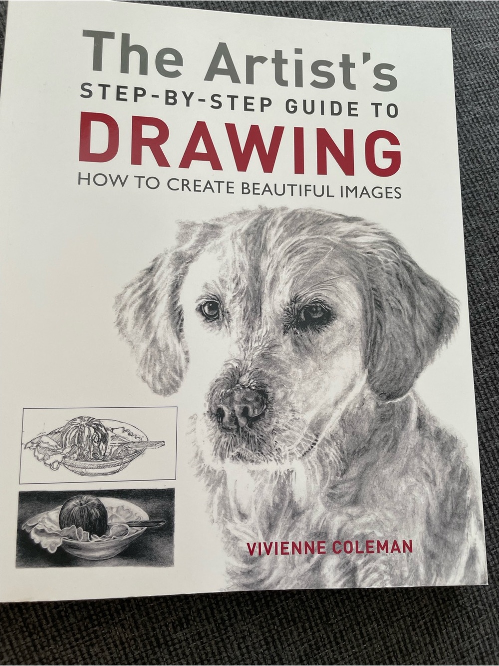 The Artist’s Step by Step Guide to Drawing by Vivienne Coleman